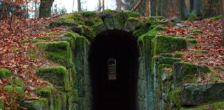 Jak zrobić instrukcje?