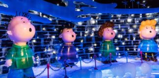 Jakie są rodzaje znaków?