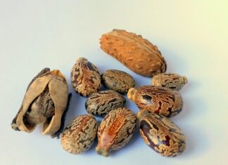 Czy olej a olejek rycynowy to to samo?