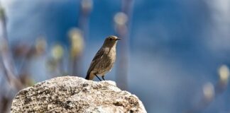 Jak sprawdzić czy jest pleśń w domu?