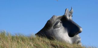 W jaki sposób uspokoić myśli?
