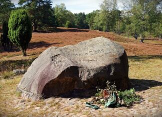 Co oczyszcza drogi oddechowe?