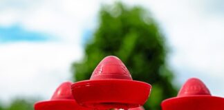 Czy po tequili ma się kaca?