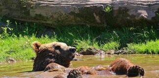 Jak odświeżyć mieszkanie po palaczu?