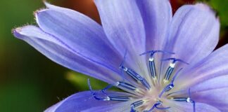 Z jakiej strony zamawiac zamienniki perfum?