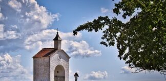 Co to znaczy że perfumy są niszowe?