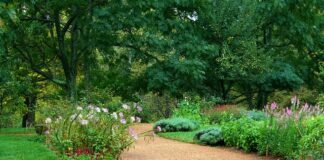 Jaki zwirek do kuwety żeby nie smierdzialo?