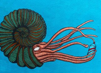 Jak zamontować suchy syfon?