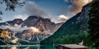 Jak odświeżyć dom?