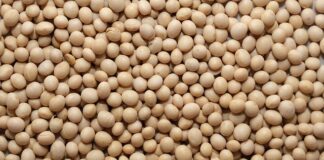 Jak sprawdzic czy świecą jest sojowa?