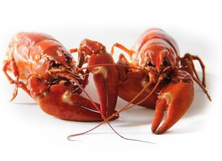 Co niszczy komórki rakowe?