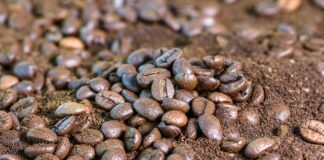 Gdzie rozsypać fusy z kawy?