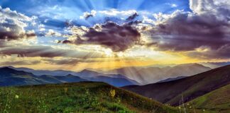 Co zrobić żeby nie było suchego powietrza w pokoju?