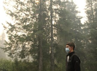 Jak oczyścić jelita z pasożytów?