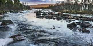 Dlaczego śmierdzą mi nogi?