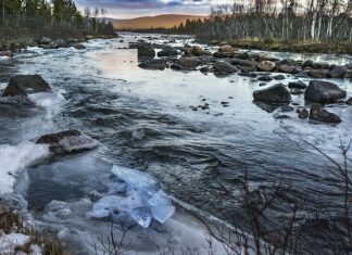 Dlaczego śmierdzą mi nogi? Dlaczego śmierdzą mi nogi?