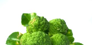 Czy Bergamota obniża cholesterol?