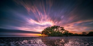 Dlaczego smierdzi z odpływu?