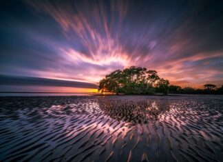 Dlaczego smierdzi z odpływu? Dlaczego smierdzi z odpływu?