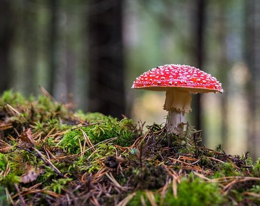 Od czego robi się grzyb w mieszkaniu?
