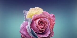 Jaką świece palić na milosc?