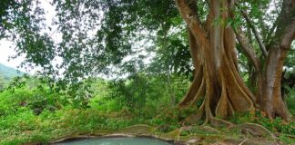 Dlaczego w domu czuć szambo?