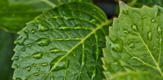 Co zrobić żeby nie było wilgoci w domu?