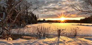 Co to jest powłoką blue Cut?