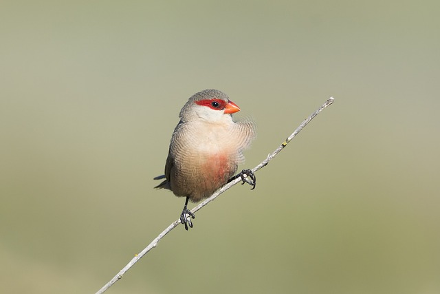 Co ile powinno wymieniać się noski w okularach? Co ile powinno wymieniać się noski w okularach?