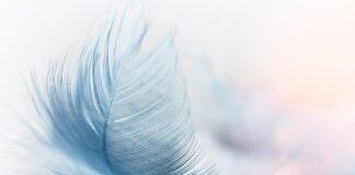 Czym się różni pióro kulkowe od długopisu?