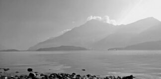 Ile kosztuje zwykły długopis?