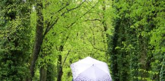 Jak znaleźć wszystkie pliki?