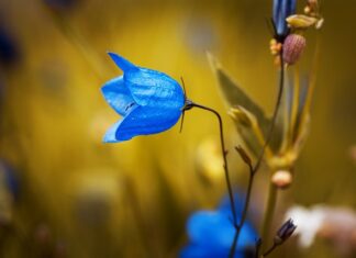 Czy trzeba mieć dzwonek w rowerze?
