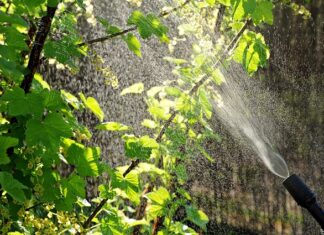 Kiedy nie można robić opryski? Kiedy nie można robić opryski?