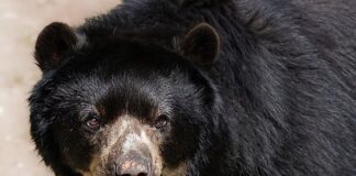 Czy w okularach do komputera można chodzić na co dzień?