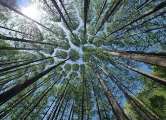 Co daje daszek w kasku motocyklowym? Co daje daszek w kasku motocyklowym?