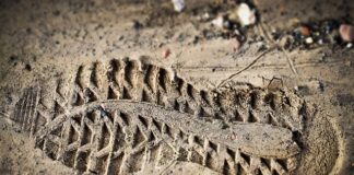 Jaka jest waga oceny 1?