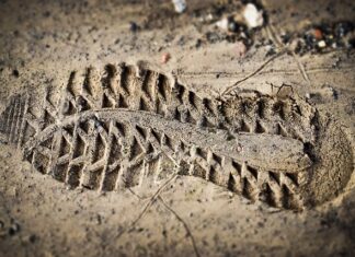 Jaka jest waga oceny 1?