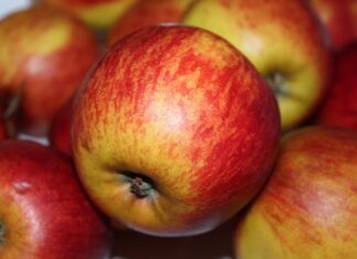 Czy po kosmetologii można iść na dietetykę?