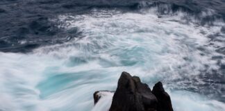 Co jeśli cena na półce jest inna niż przy kasie?