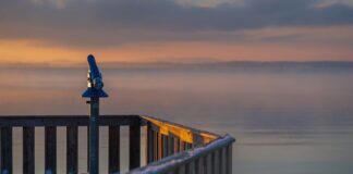 Dlaczego program EKO w zmywarce jest taki długi?