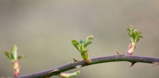 Co to jest błąd Repozytorium?