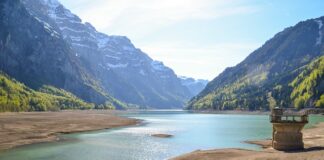 Czy płatność przelewem zwalnia z kasy fiskalnej?