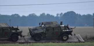 Ile kg można przewozić Paleciakiem?