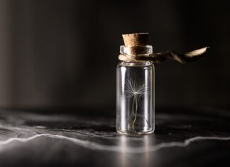 Co to są zapasy w magazynie?