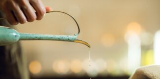 Jakie przedmioty są na studiach kosmetologia?