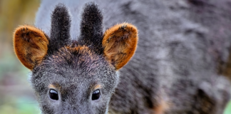 Jakie zagrożenia związane są z pracą w salonie fryzjerskim?