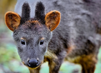 Jakie zagrożenia związane są z pracą w salonie fryzjerskim? Jakie zagrożenia związane są z pracą w salonie fryzjerskim?
