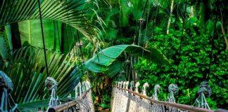 Ile kosztuje kurs obsługi kasy fiskalnej?