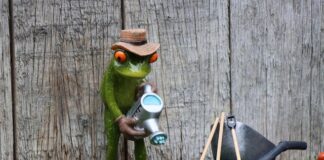 Ile kosztuje abonament na Booksy?